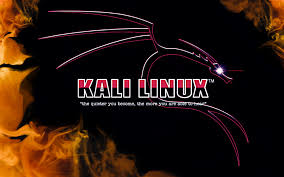 kali-linux-install