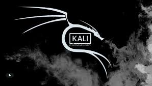 kali-linux