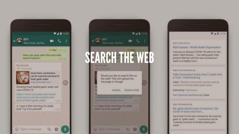 whatsapp search the web