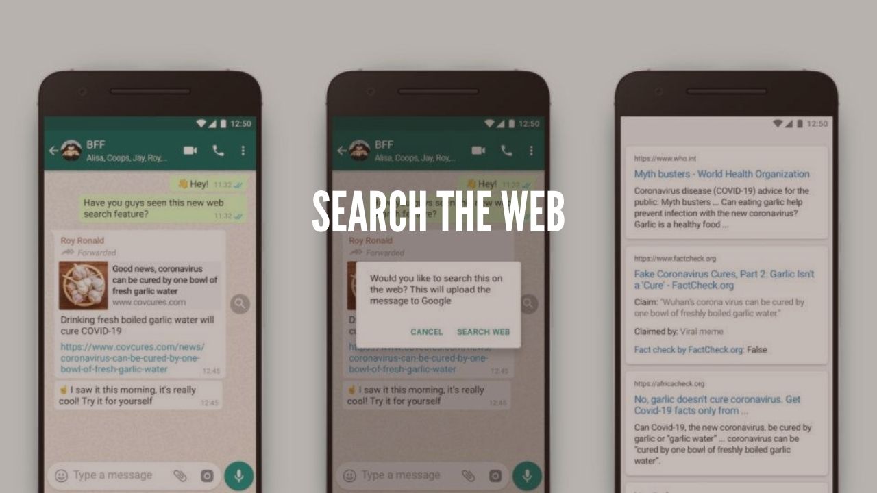 whatsapp search the web