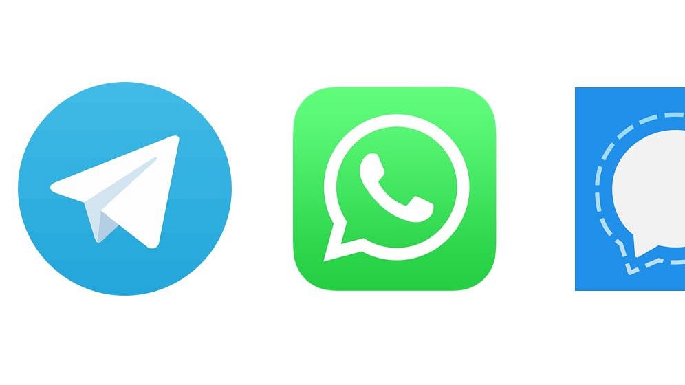 singal-and-telegram-seeing-new-users